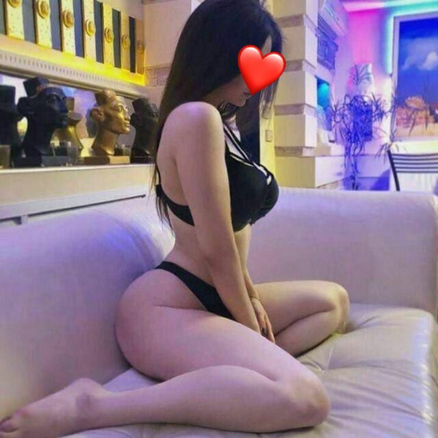 מארחת נדירה – קריות